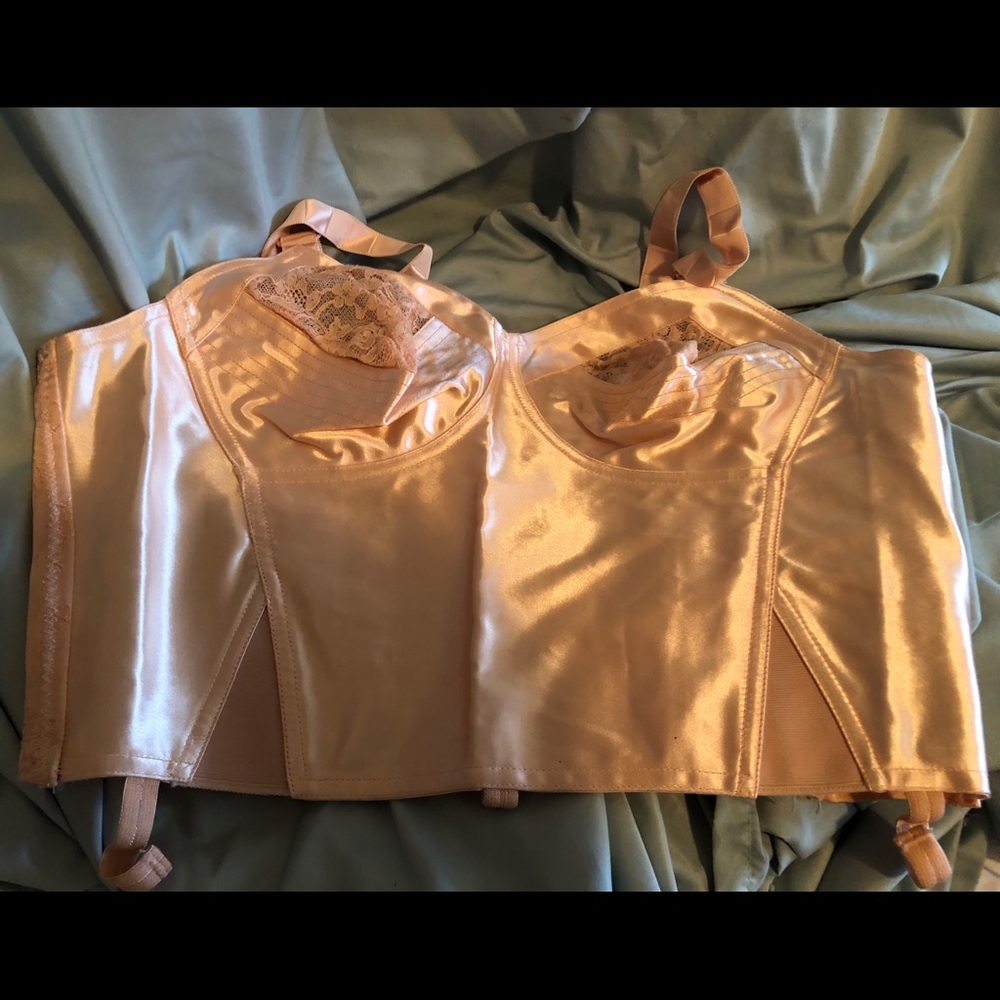 Beautiful Sexy Soft Pink Felina Corset